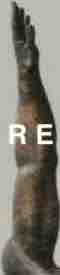 Red Right Arm